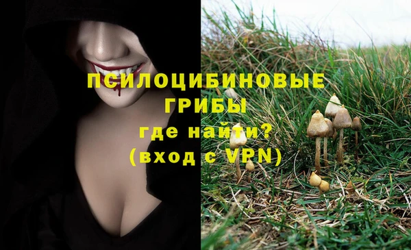ECSTASY Надым